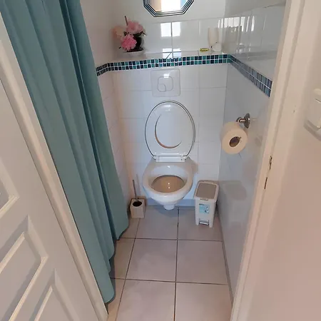 Holiday home Hortensia Salignac (Gironde)